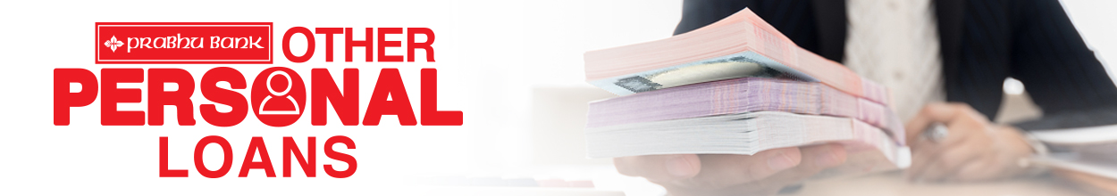 Other Personal Loans Other Personal Loans