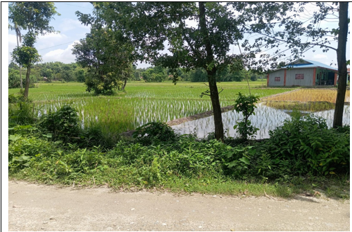 Land at Bayarban, Morang