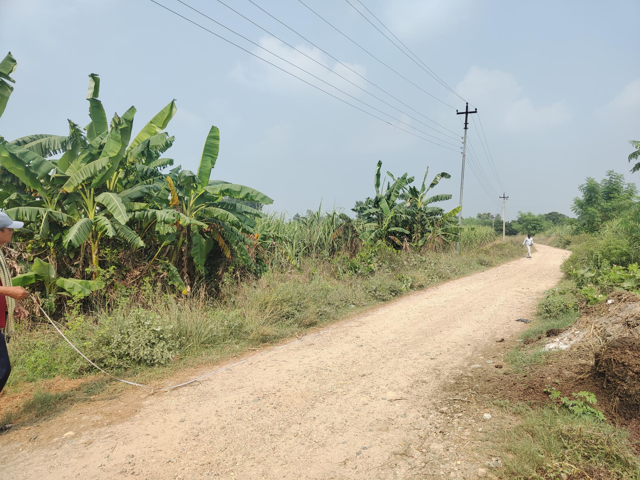 land at  Bardibas