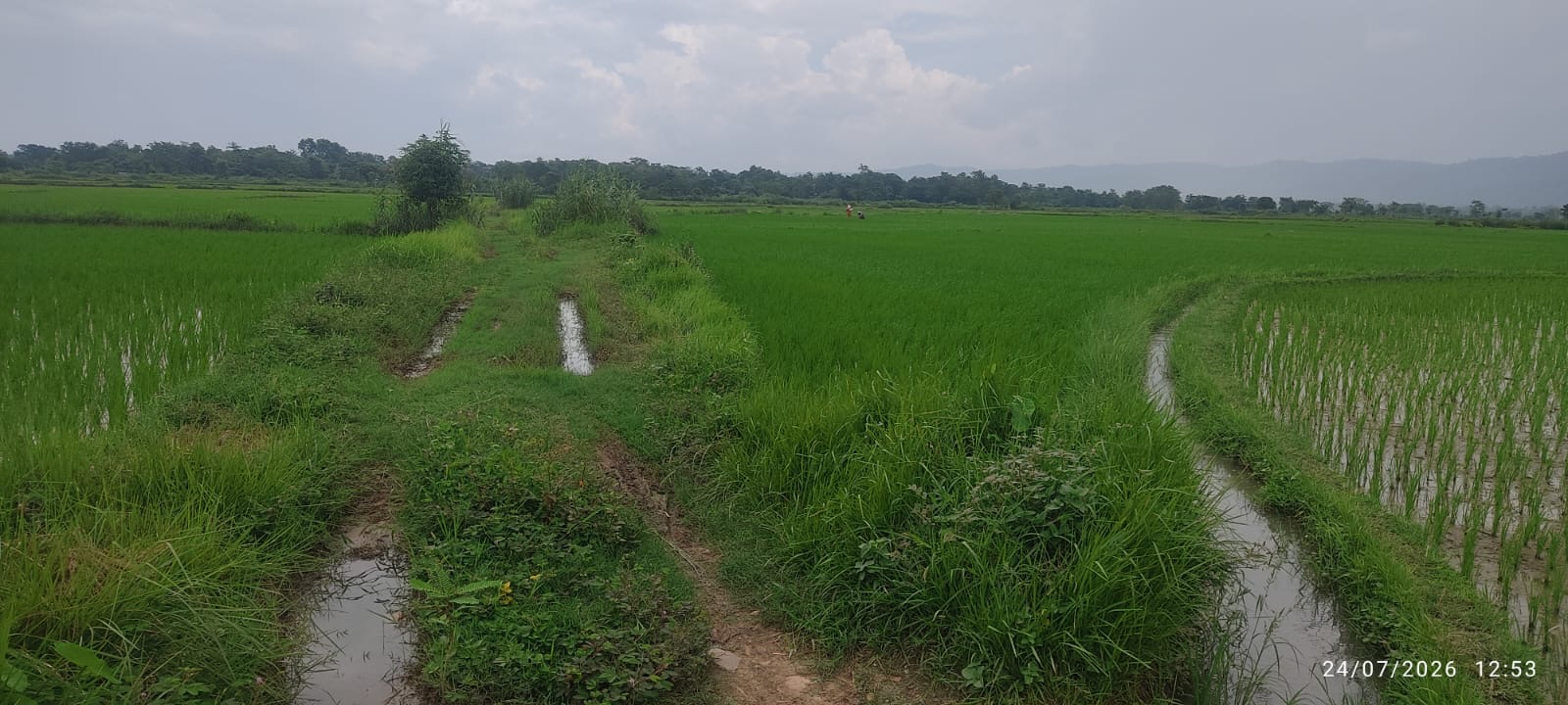 Tamsariya 8, Nawalparasi